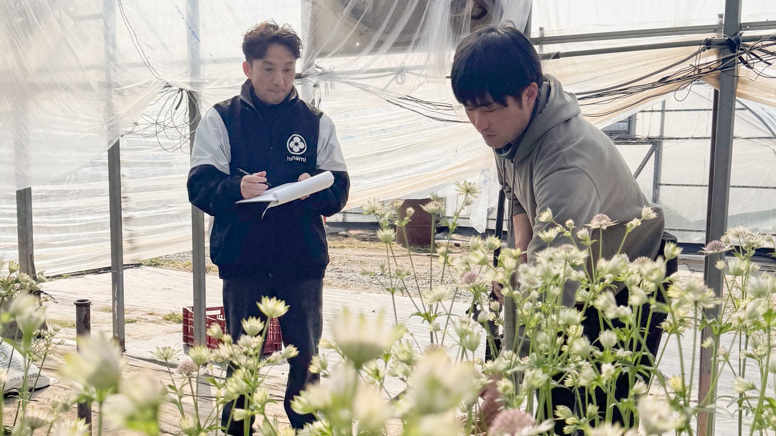 連載#3　秋山花園　秋山洋三さんを訪ねて