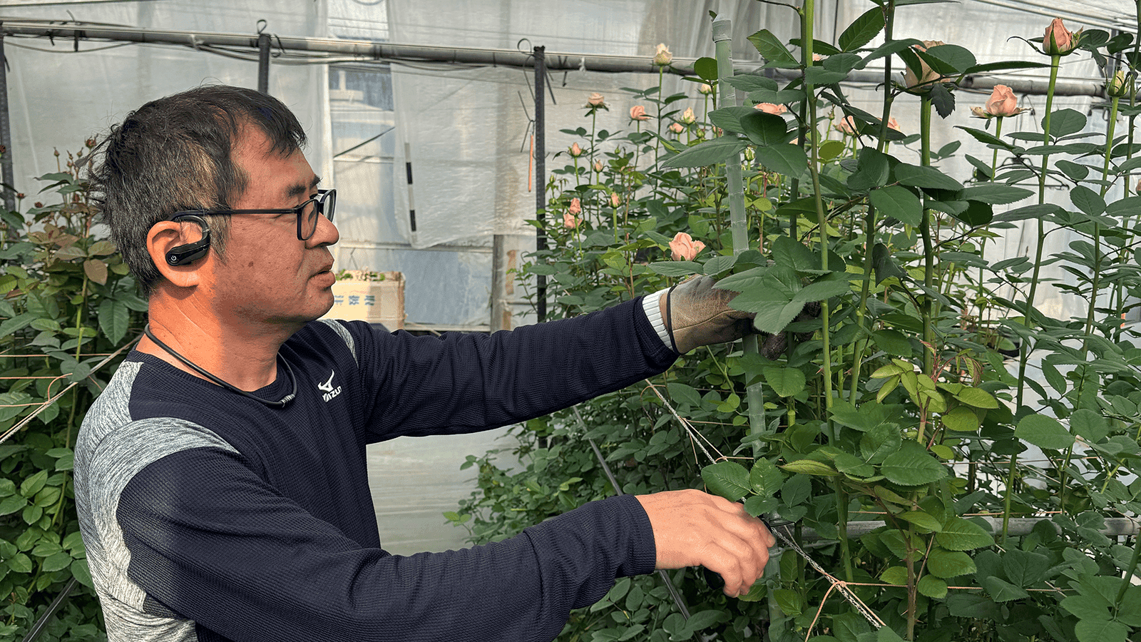 連載#2　「想いだけじゃ、ダメだ」— 暗闇で見つけた、一筋の光