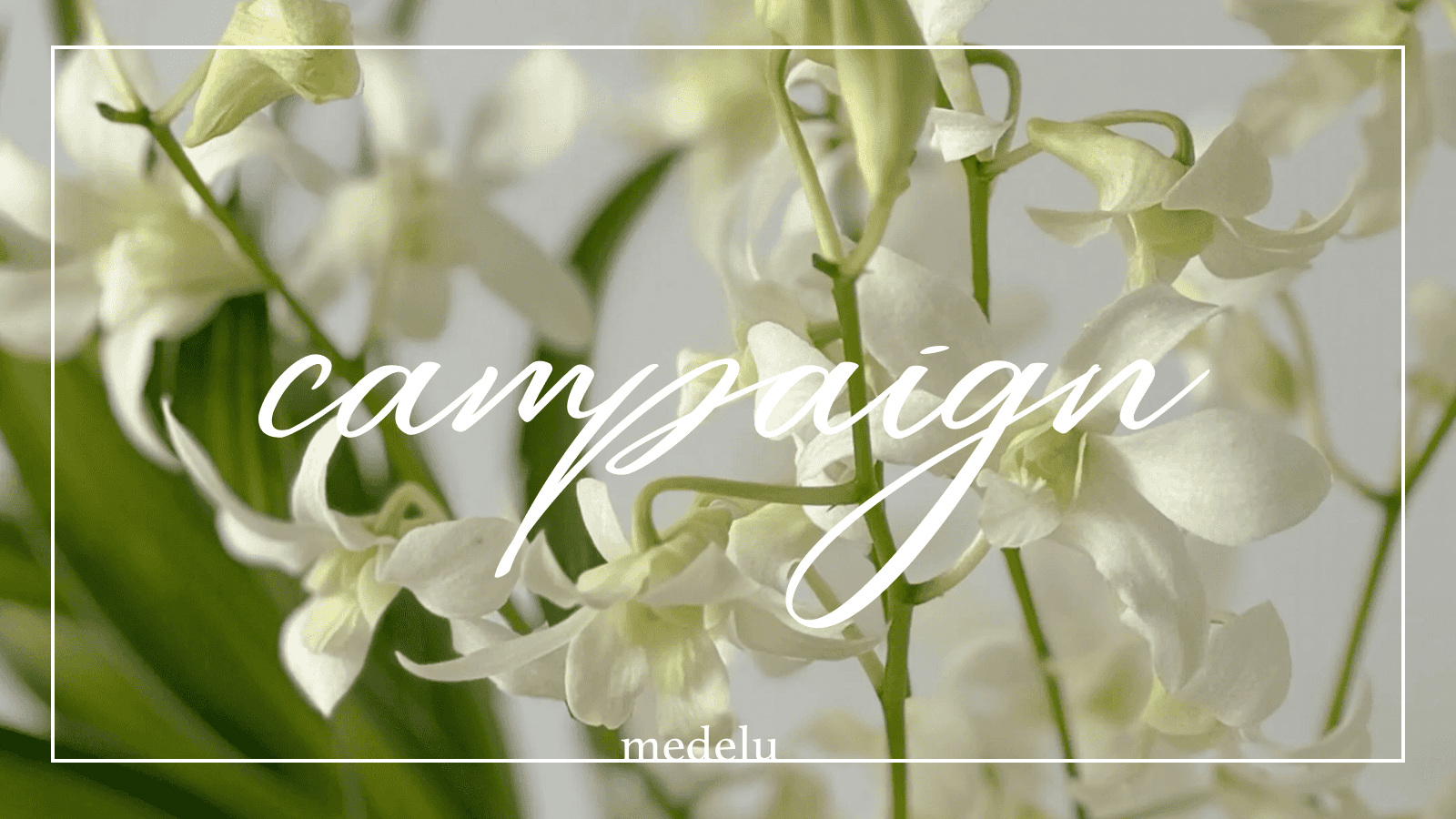 【当選者様の声】沖縄の生産者さん応援キャンペーン！ご応募ありがとうございました