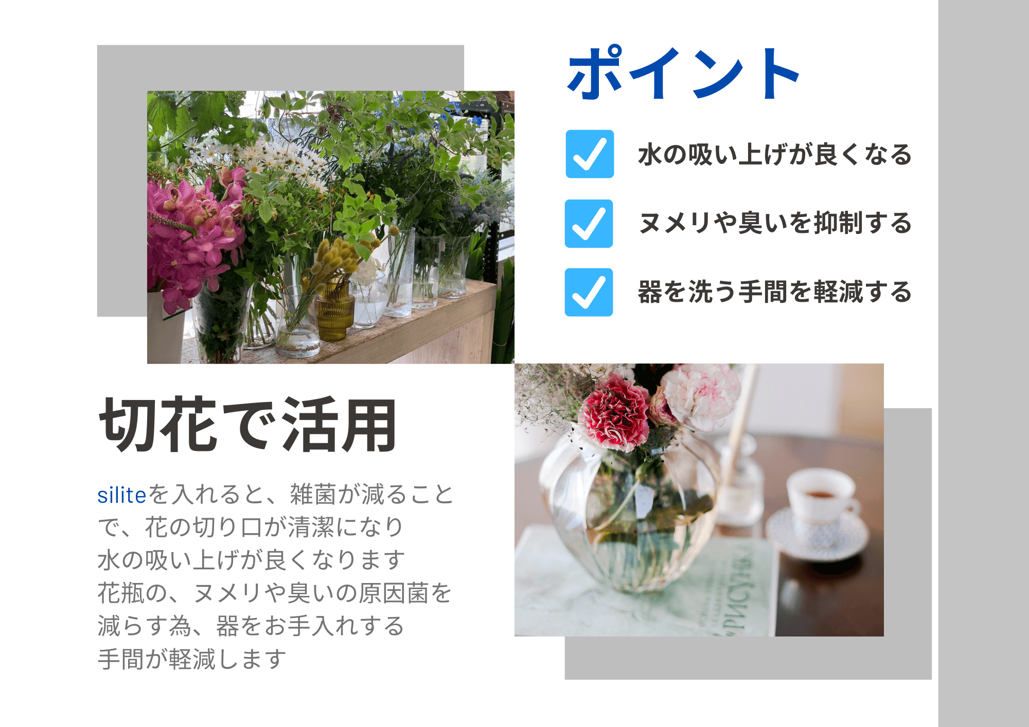 水質改善剤 silite （シリット）