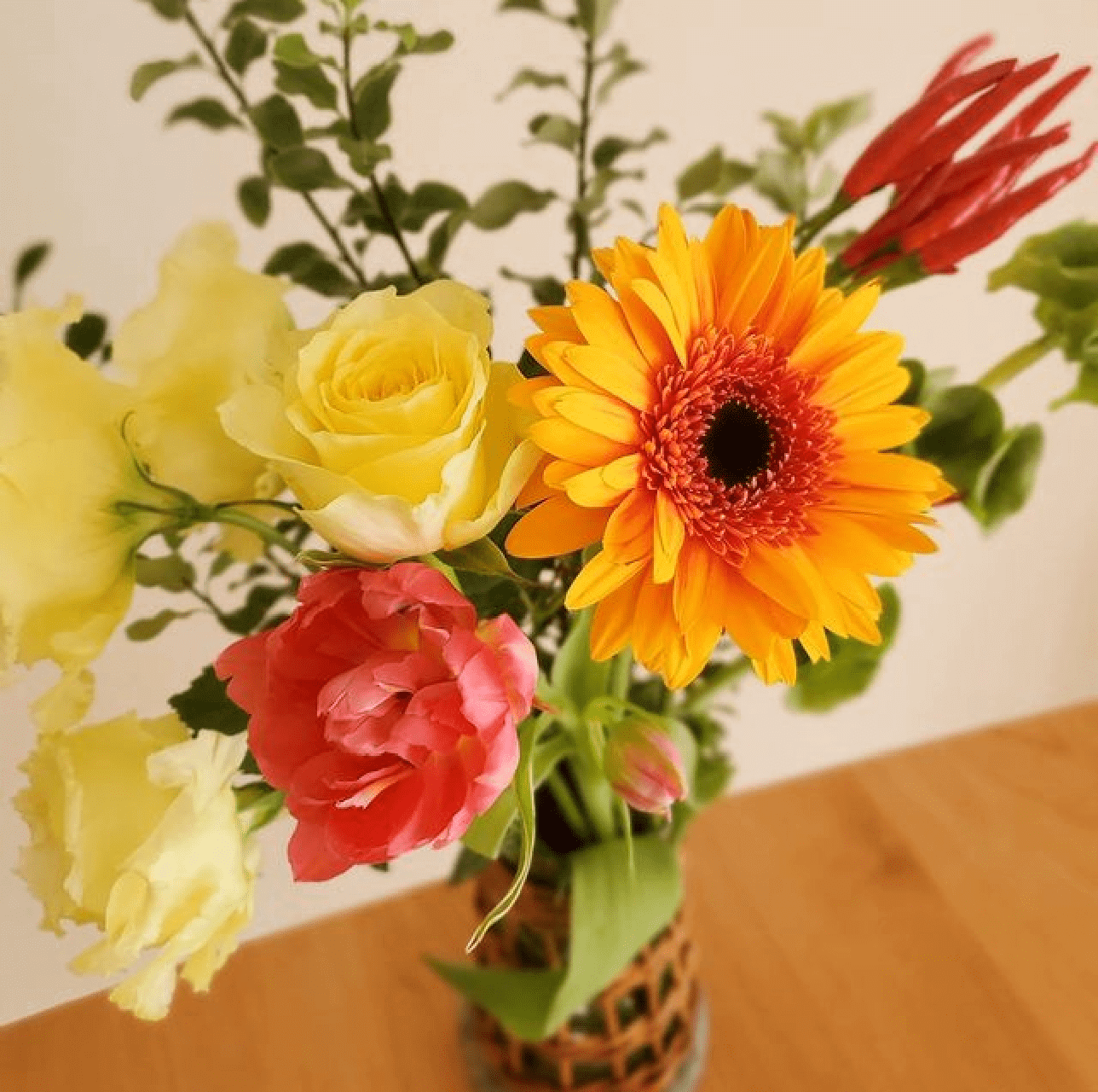 Review by chouette8255