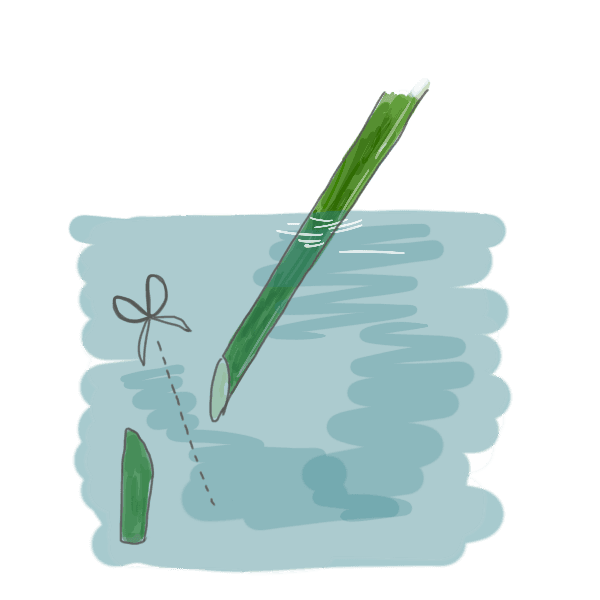 お花のお手入れ方法~水切り~