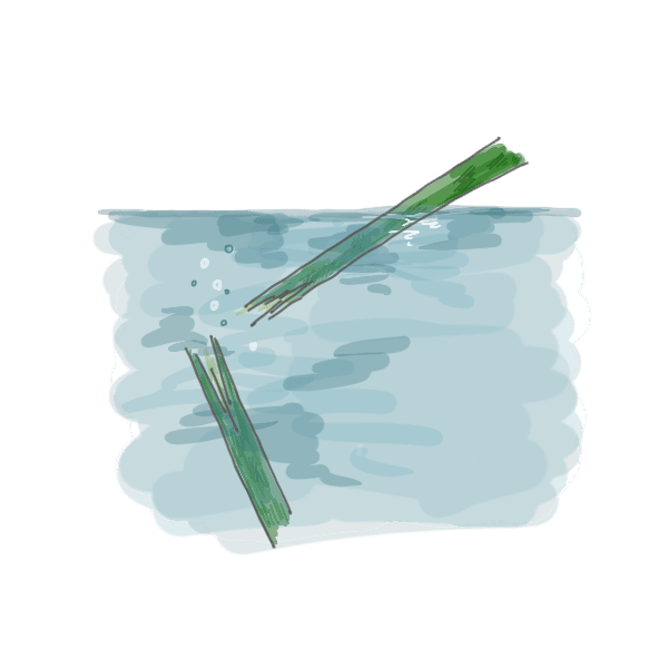 お花のお手入れ方法~水折~