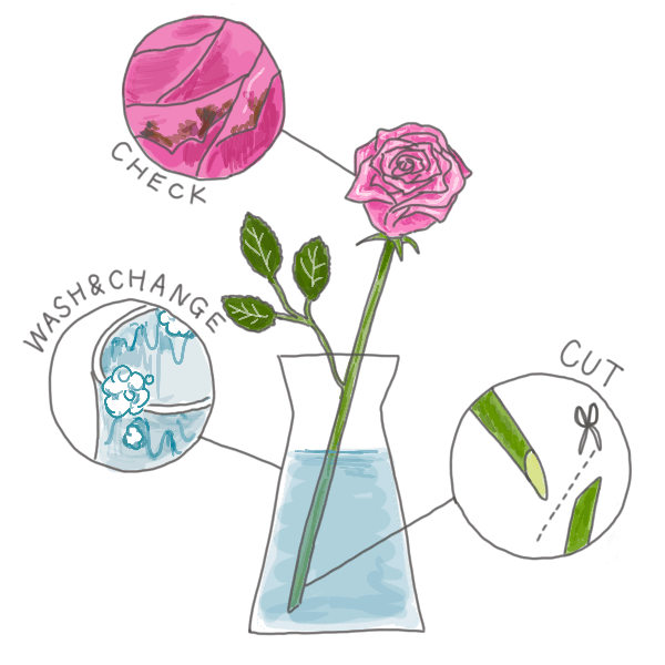 基本のお手入れ方法