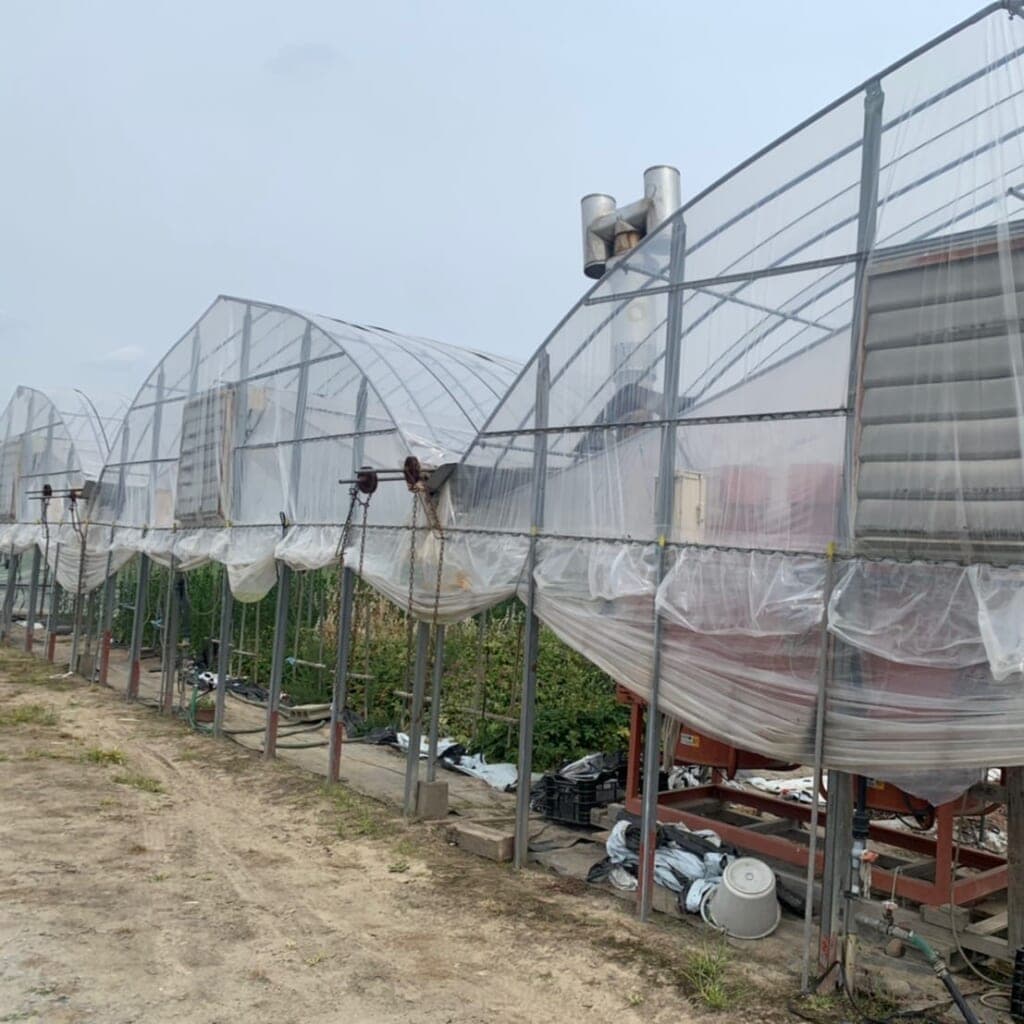 次世代に繋げていく、季節の移ろいに合わせた花作り