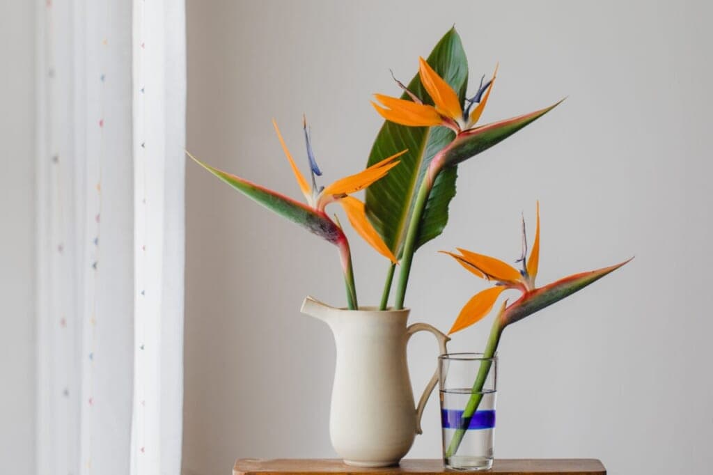 キャンペーンにご応募いただきありがとうございました!