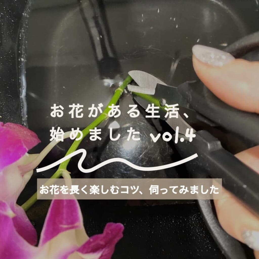 ユーザーさんの声:お花がある生活、始めましたVol. 4