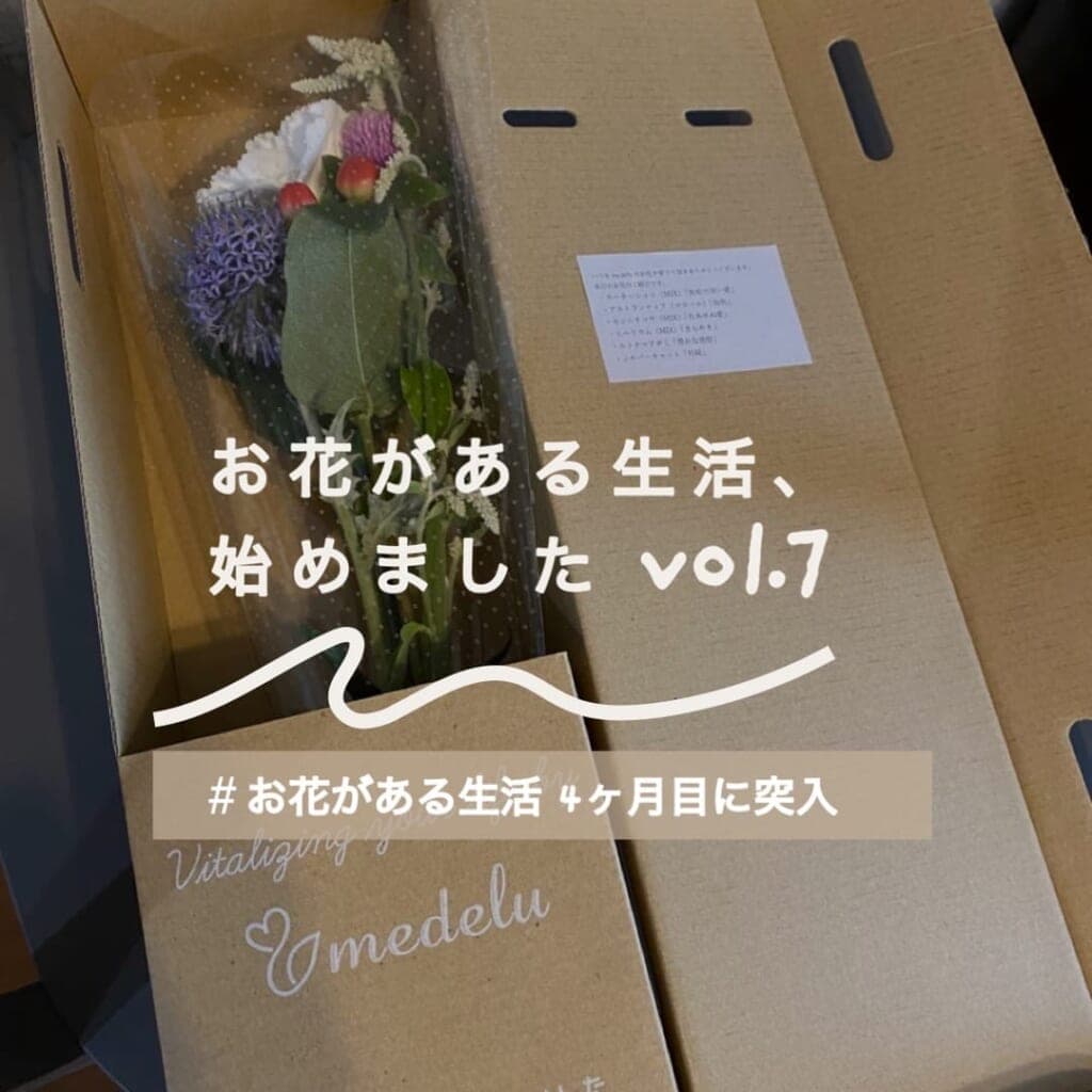 ユーザーさんの声:お花がある生活、始めましたVol. 7