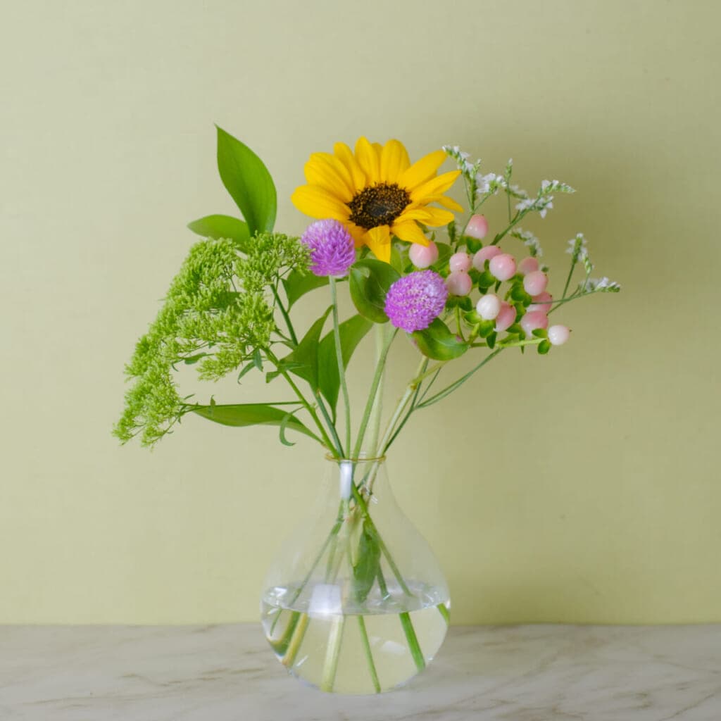 お花のある暮らし、今日からスタート!初回セットで簡単に~Lite編~