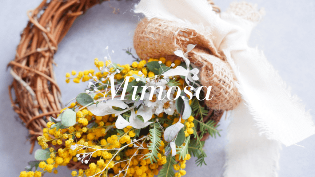 ミモザに込めた想い。制作の裏側をご紹介