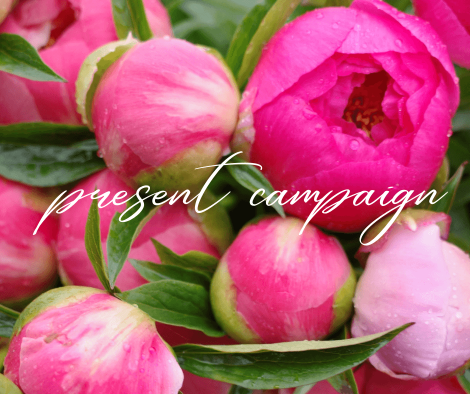 【芍薬】愛でるひとから育てるひとへ。キャンペーンご応募ありがとうございました!