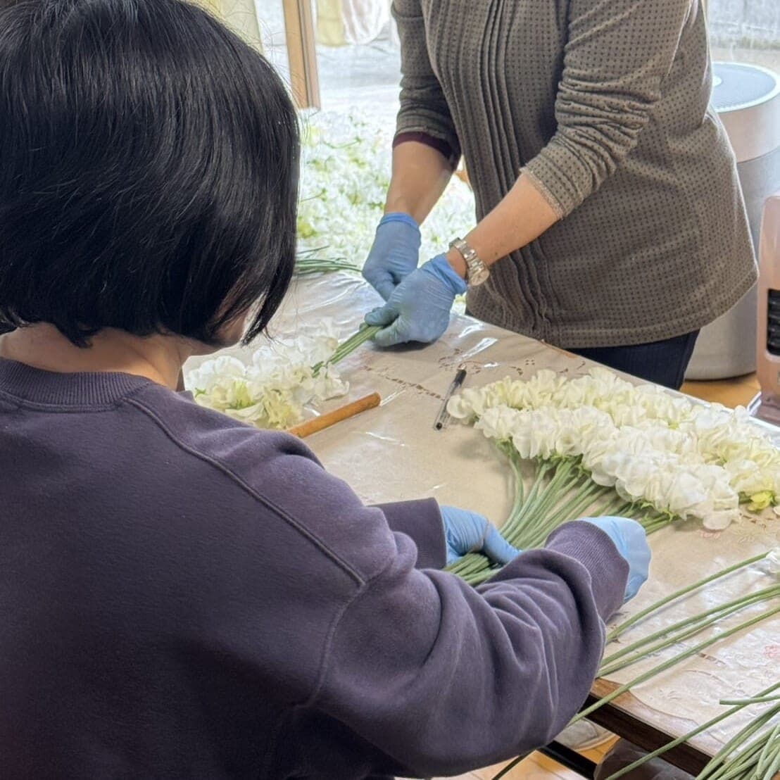 スイートピー生産者さんを訪ねて