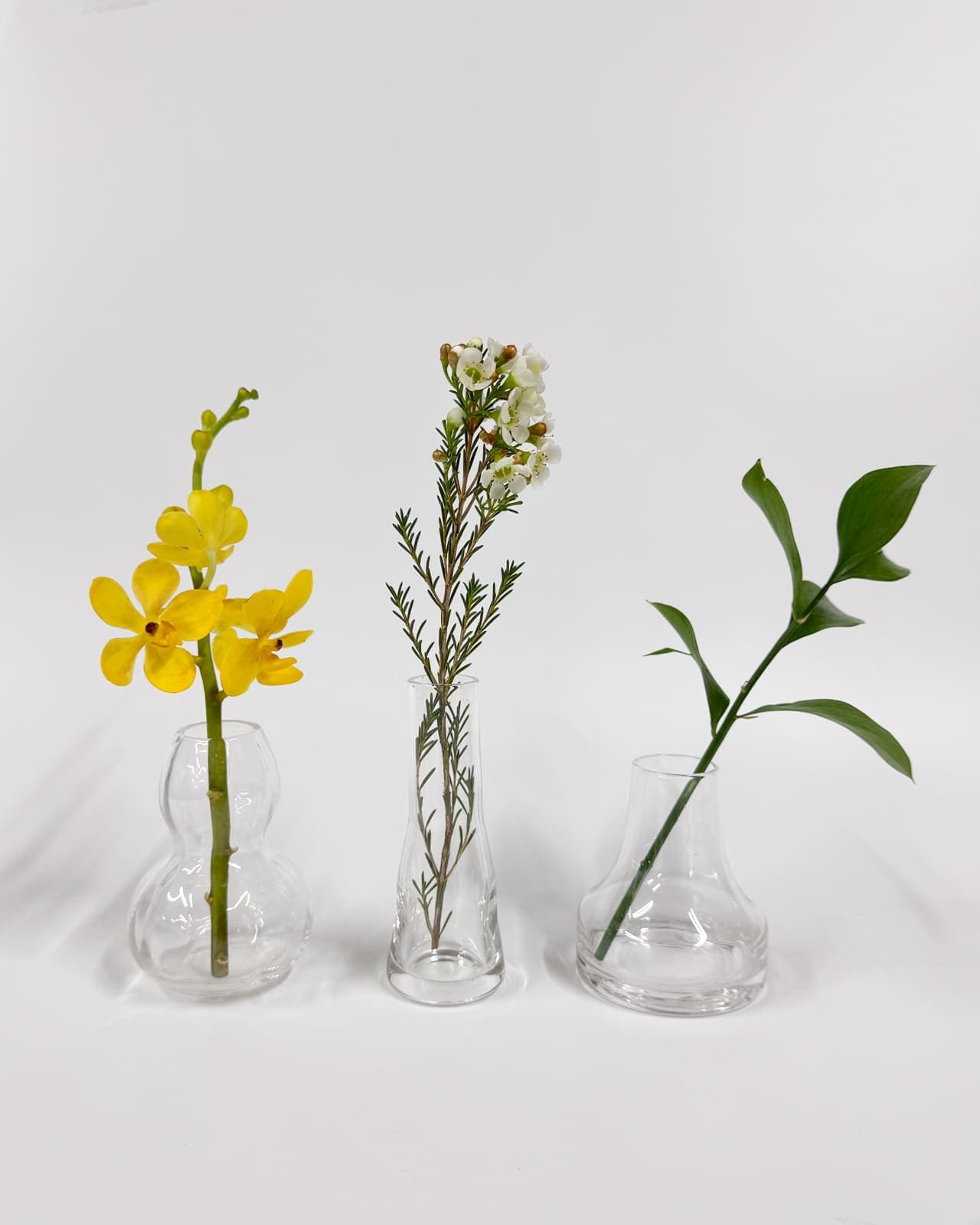 プチベース3点セット