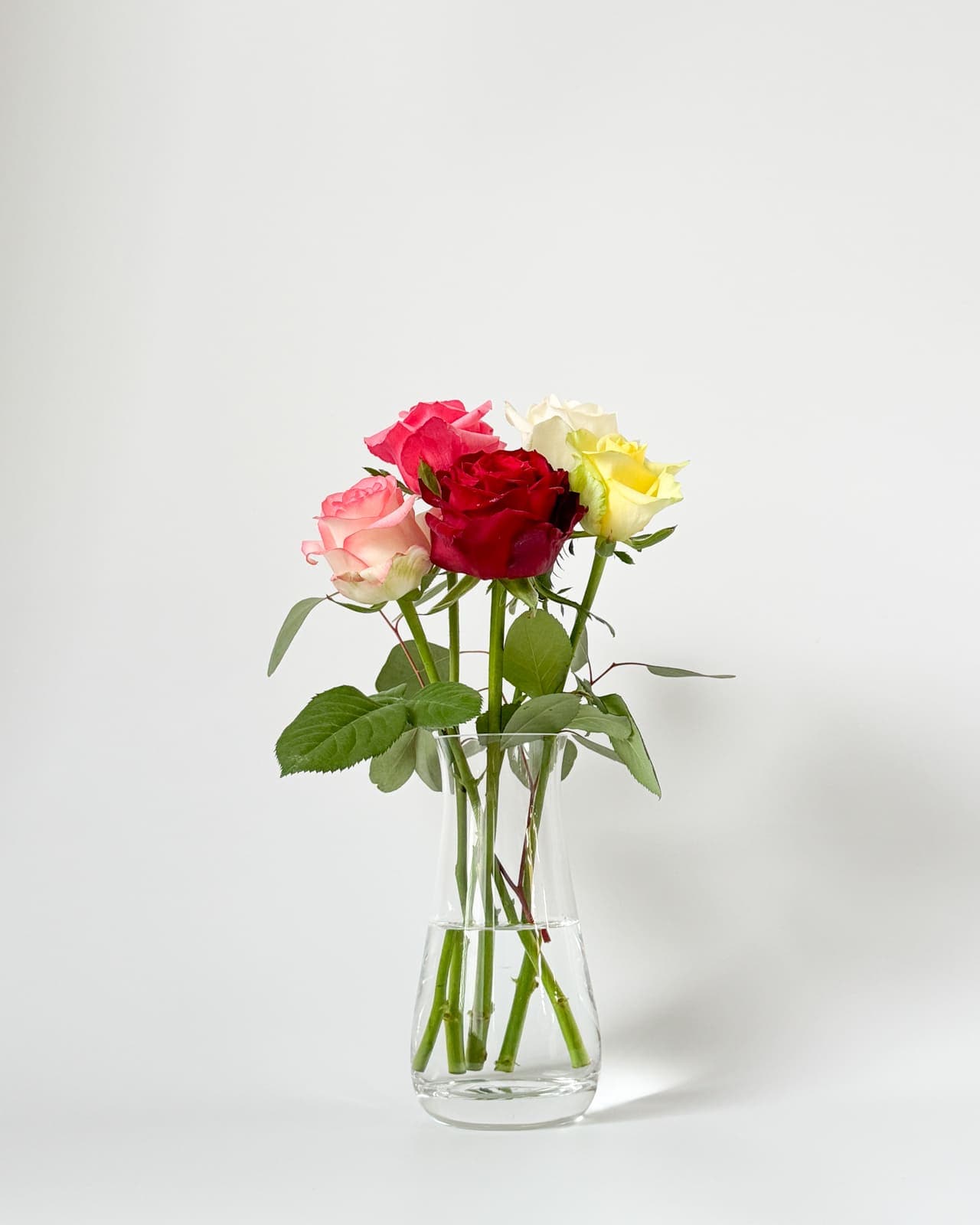 楢原バラ園のバラ「おまかせMIX」