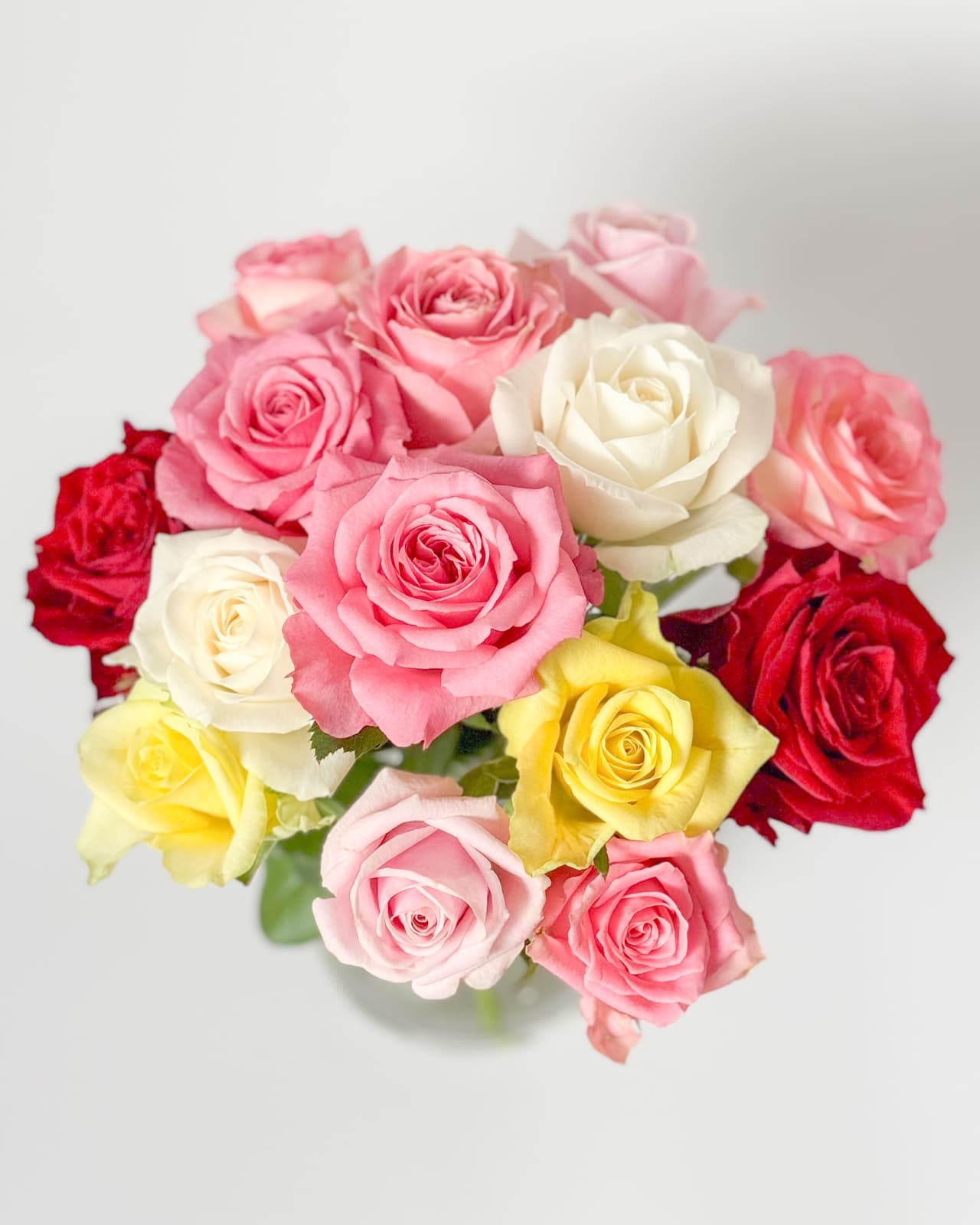 楢原バラ園のバラ「たっぷりMIX」