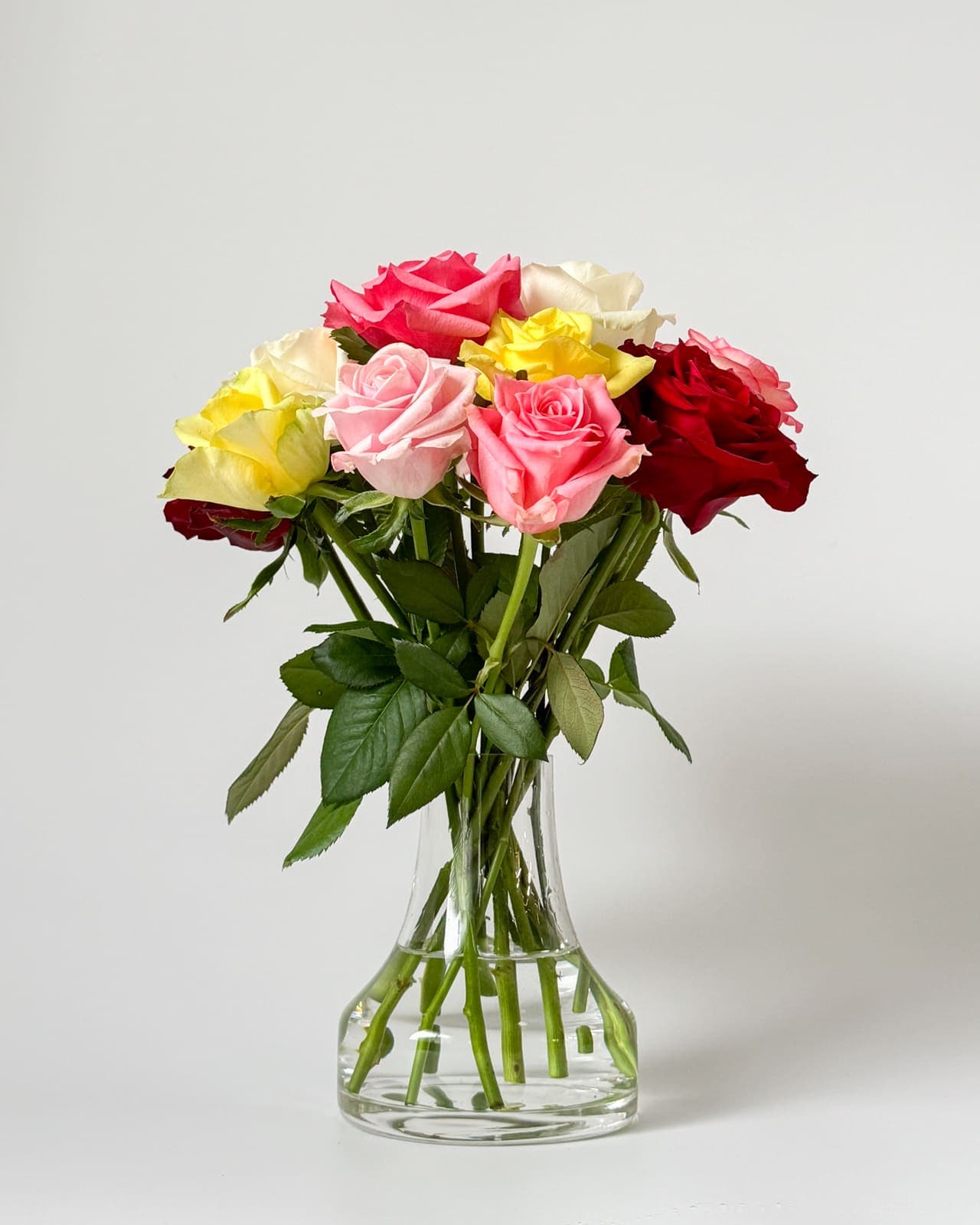 楢原バラ園のバラ「たっぷりMIX」